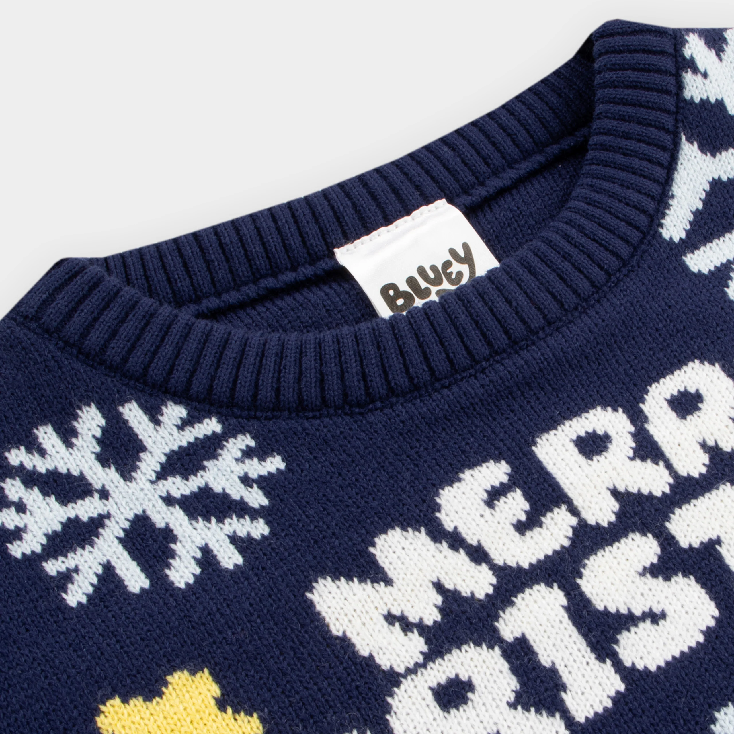BLUEY TOPS | BOYS XMAS JUMPER - Image 7