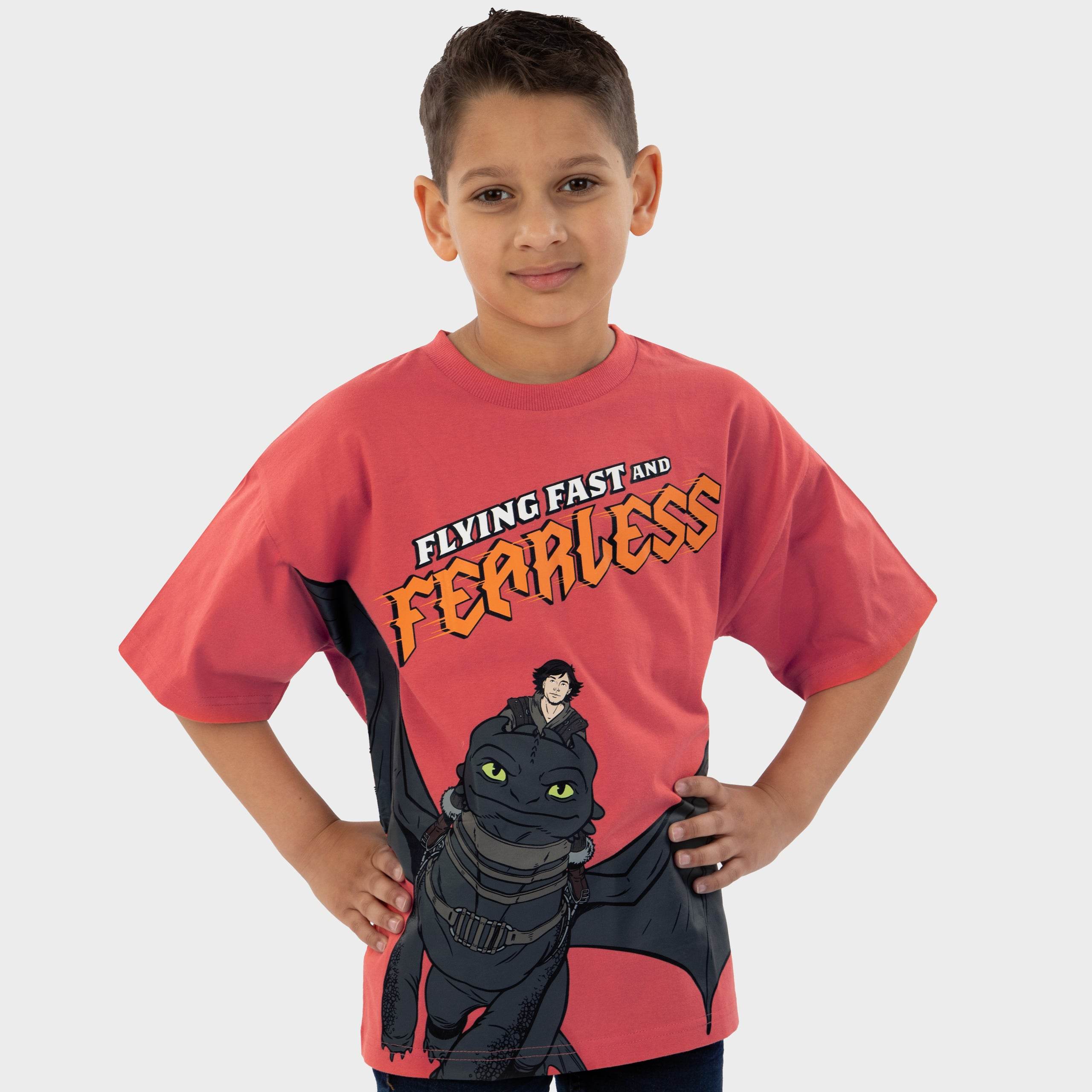 How To Train Your Dragon Tshirt - Image 4